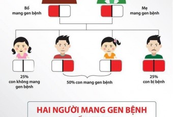 Ngày Thalasemia Thế giới (08/5/2021): “Thực hiện tư vấn, khám sức khỏe trước khi kết hôn vì hạnh phúc gia đình, vì sự phồn vinh của đất nước”