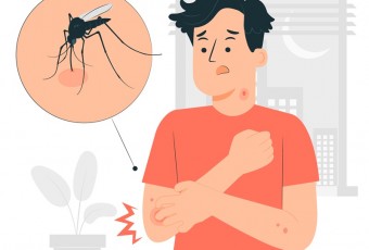[Infographics] Phòng chống bệnh sốt xuất huyết