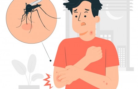 [Infographics] Phòng chống bệnh sốt xuất huyết