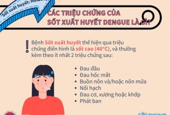 Hỏi đáp về bệnh sốt xuất huyết Dengue